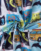 The Beach Van Bonanza