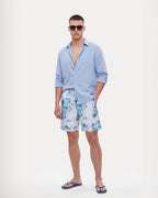 The Blue Hibiscus