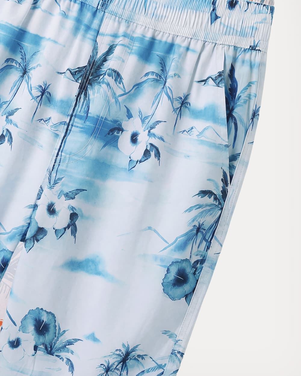 The Blue Hibiscus