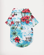 Island Style (Coconut Tree)