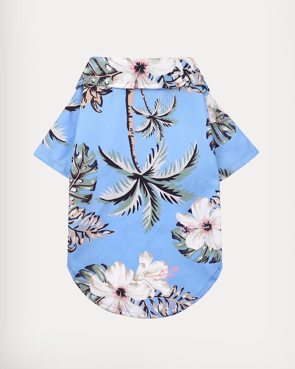 Sky Blue (Coconut Tree)