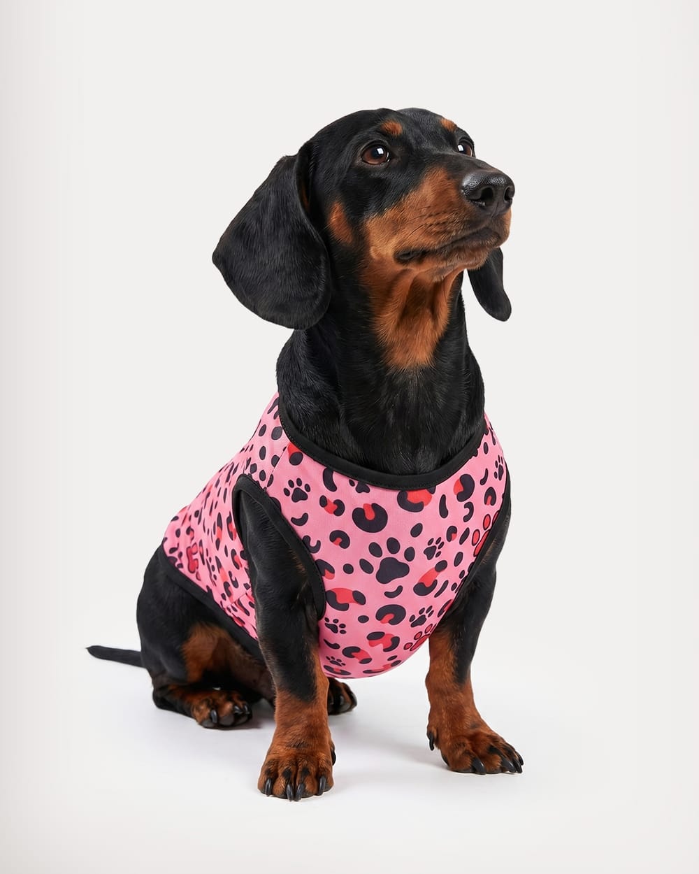 Rose Red Leopard Print