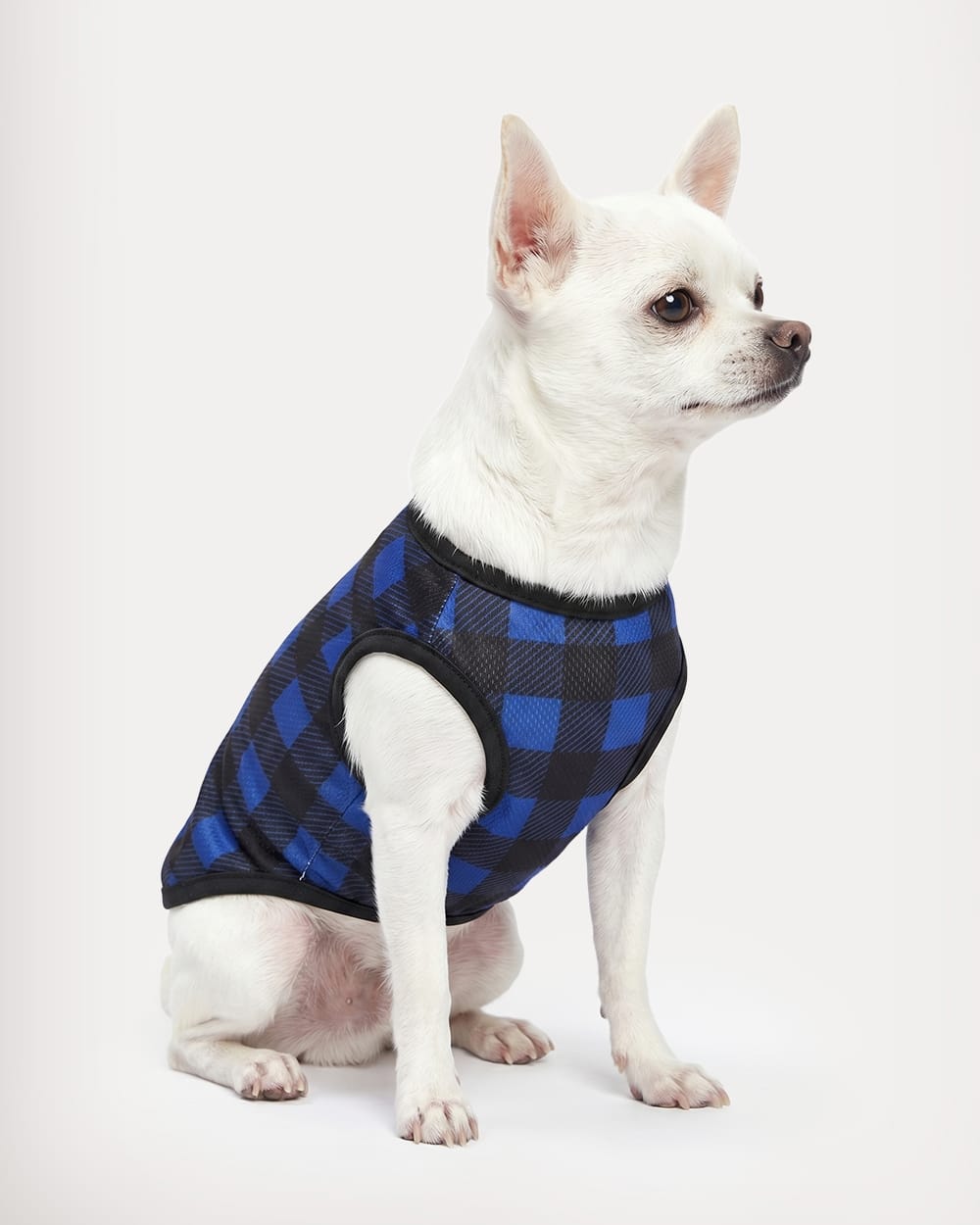 Blue & Black Plaid