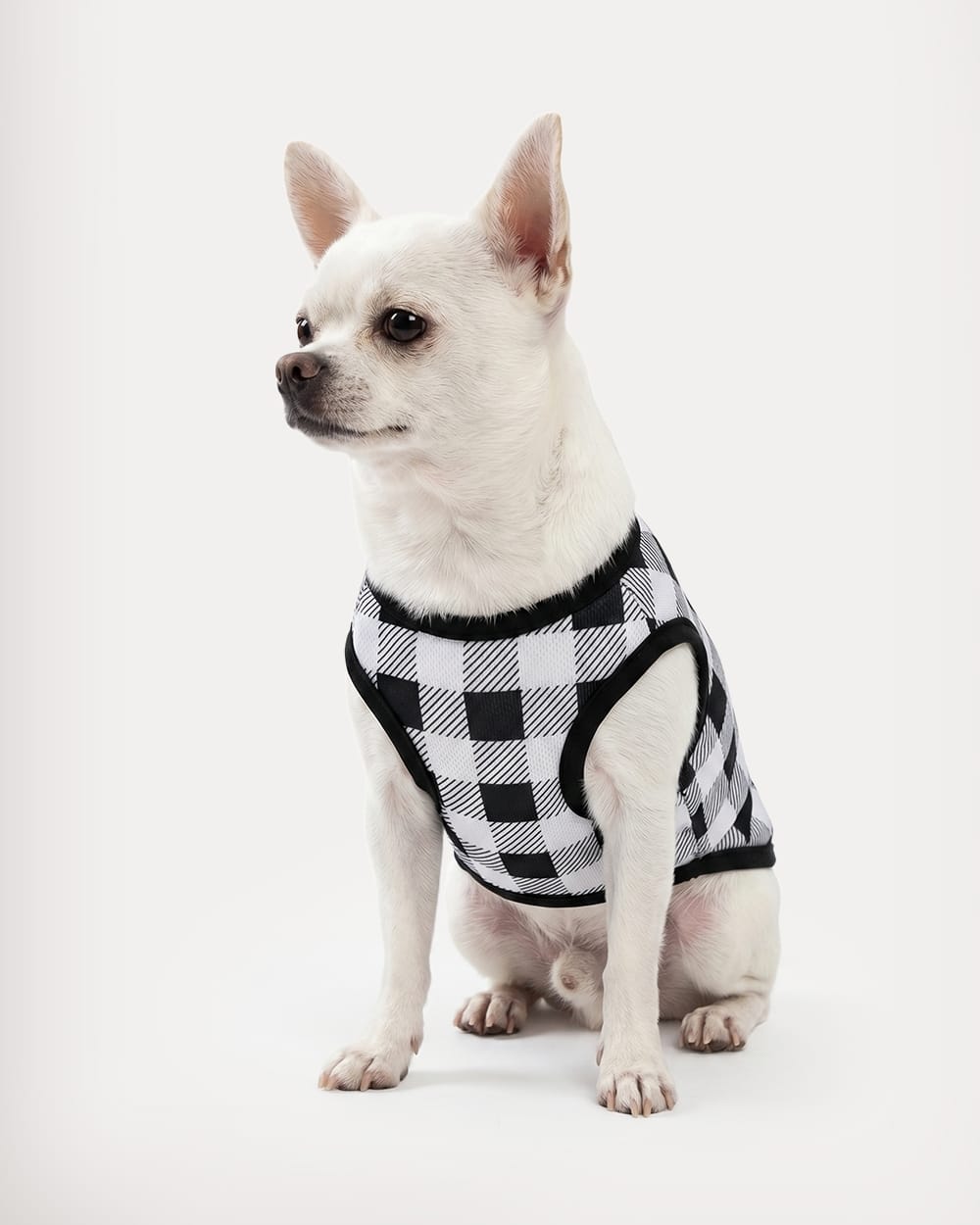 Black & White Plaid