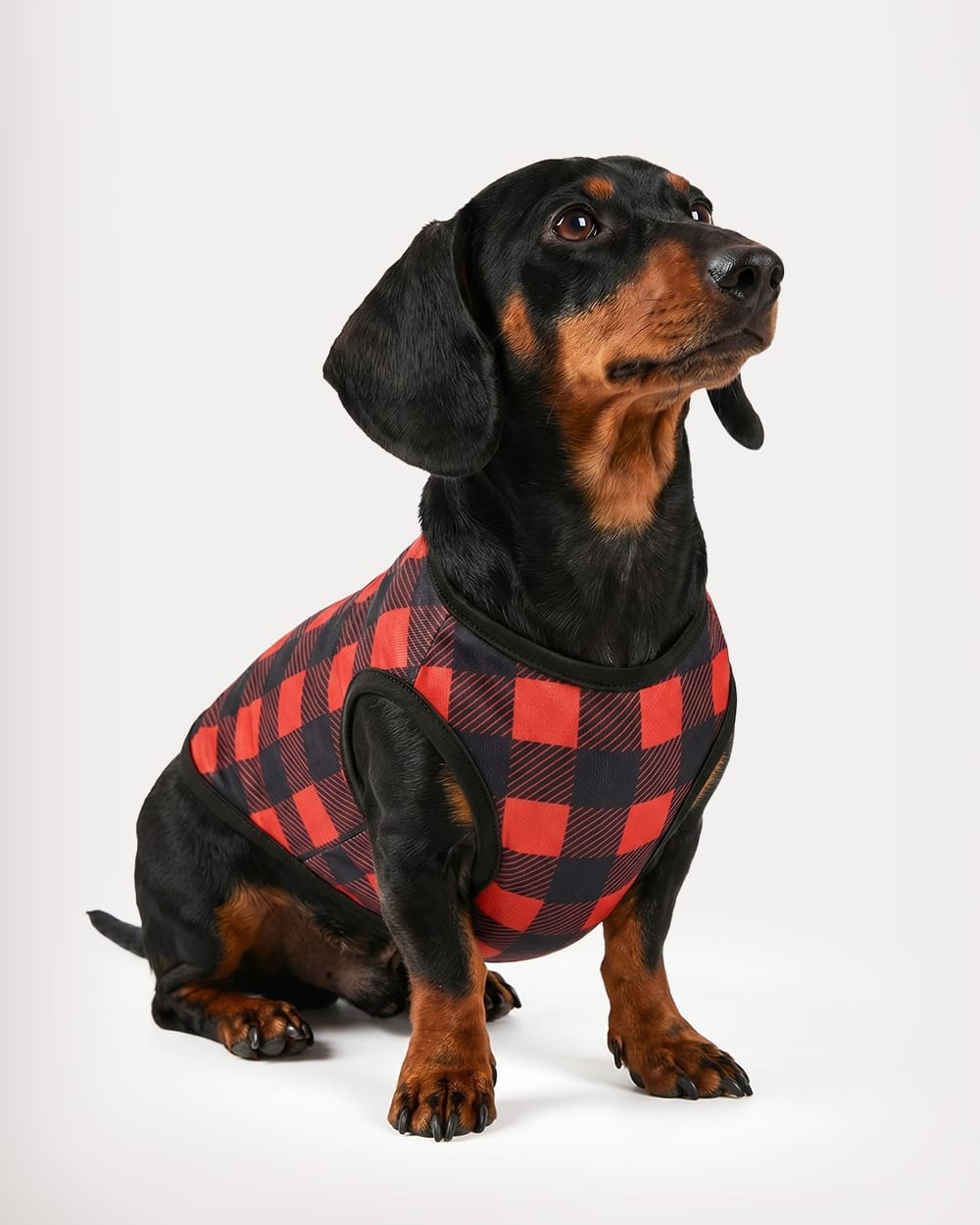 Red & Black Plaid